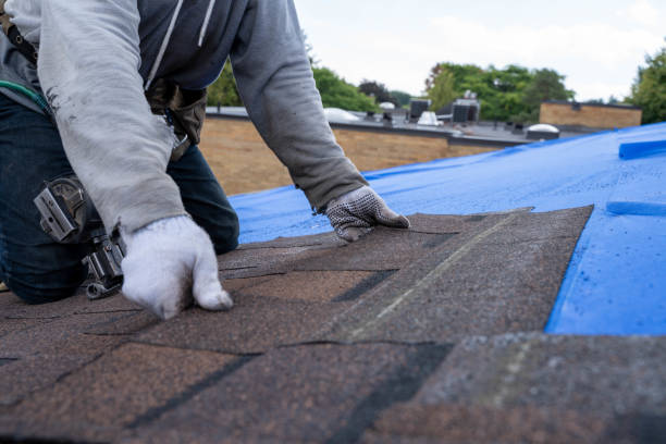 Professional Roofing Contractor in Sage, CA